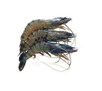 Whole Prawns