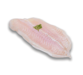 Nile Perch Fillet