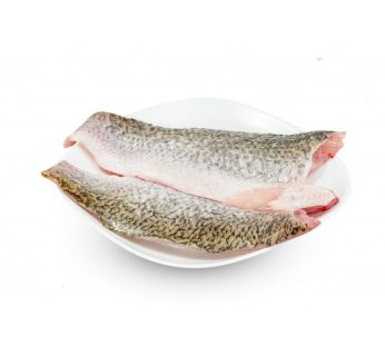 Barramundi Fillets