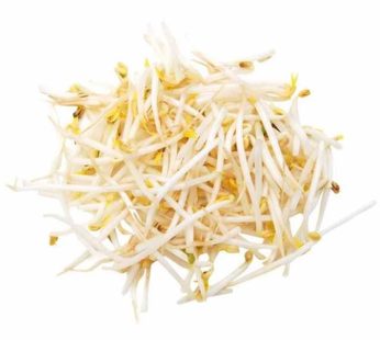 Bean Sprouts