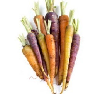 Rainbow Baby Carrots