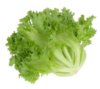 Crispy Lettuce