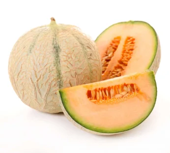 Musk Melon