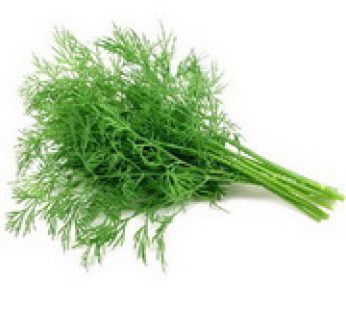 Fennel Leaf