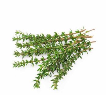 Thyme