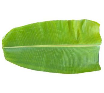 Banana leaf