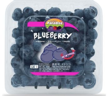 Blueberries