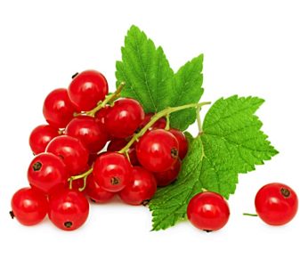 Red Currants