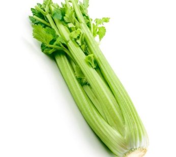 Celery