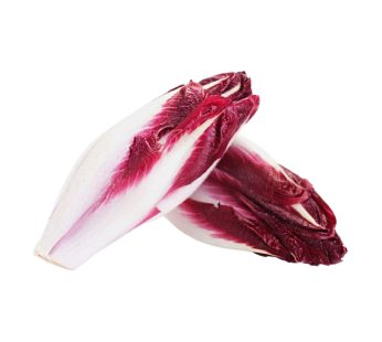 Red Chicory