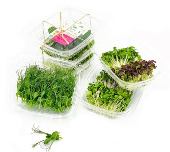 Microgreens