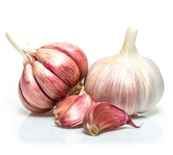 Garlic Purple