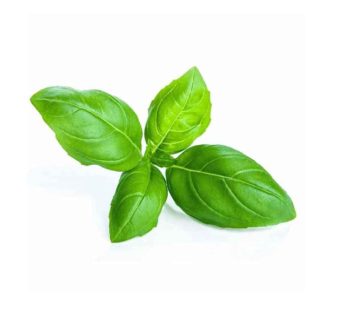 Basil