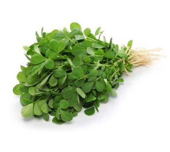 Fenugreek (Methi)