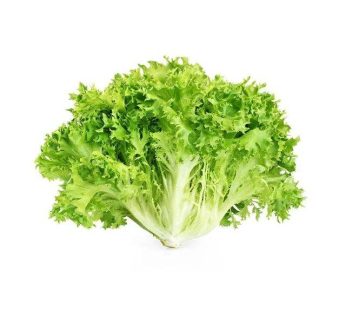 Frisee Lettuce