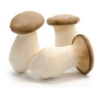 King Oyster Mushrooms