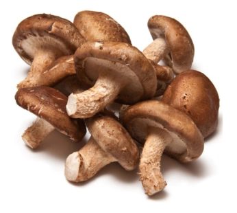 Shitake Mushroom