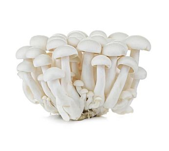 Shimeji Mushrooms