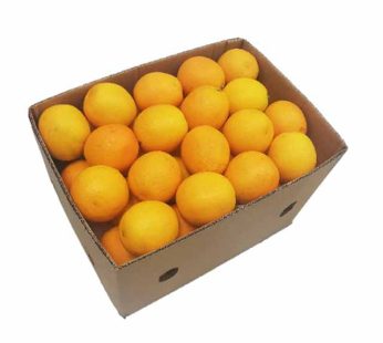 Navel Late Oranges