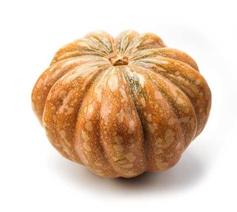 Pumpkins UAE