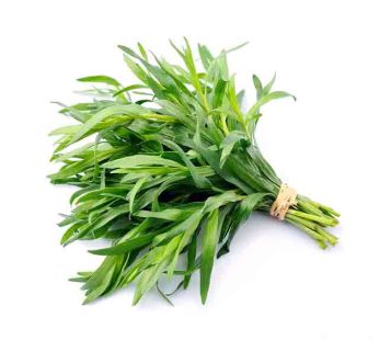 Tarragon