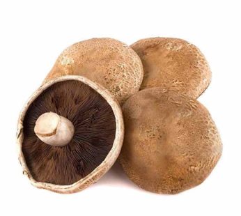 Portabello Mushrooms