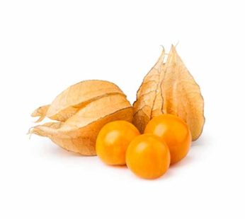 Physalis