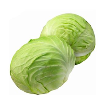 Flat Cabbage