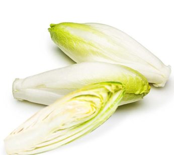 White Chicory