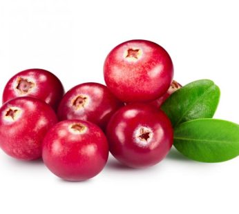 Cranberry