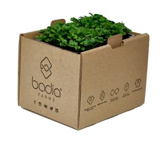 Arugula Cress