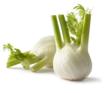 Fennel