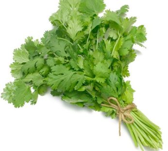 Coriander