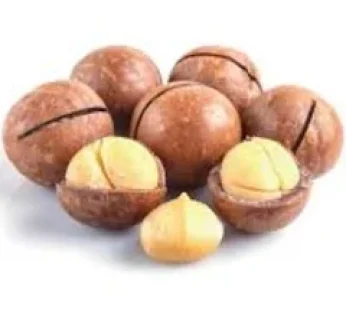 Macadamia