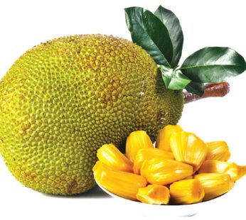 Jackfruit