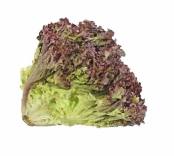 Lettuce Lollo Rosso