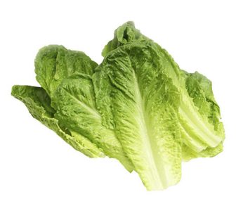 Romaine Leaves