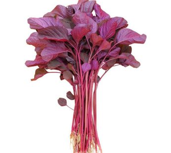 Red Spinach