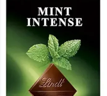 Lindt Excellence Mint Int, 100 gm