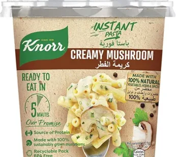 Knorr Instant Pasta, Creamy Mushroom Pot Pasta, Ready in 5 Minutes, 67g