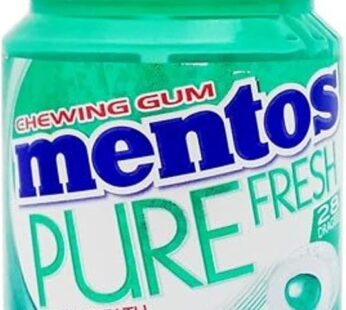 Mentos Pure Fresh Chewing Gum Wintergreen Sugar Free 32pcs