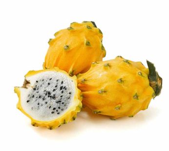 Yellow Dragon Fruit per piece