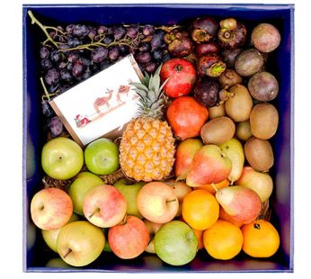 Fruit Box