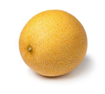 Galia Melon