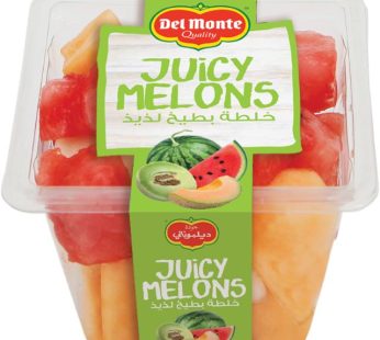 Juicy Melon Fruit Salad