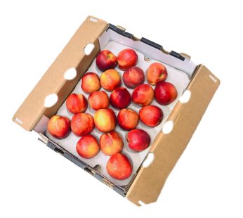 South Africa Peaches per carton