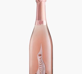 BOTTEGA PROSECCO DOC BIO EXTRA DRY 75CL