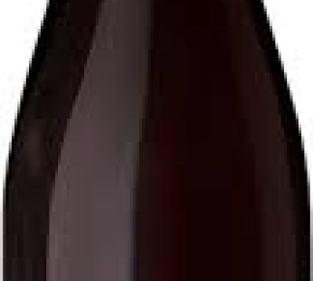 VINNE SKLEPY PINOT PRECOCE NOIR 75CL