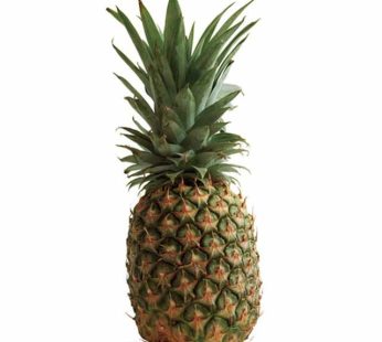 Philippines Pineapples